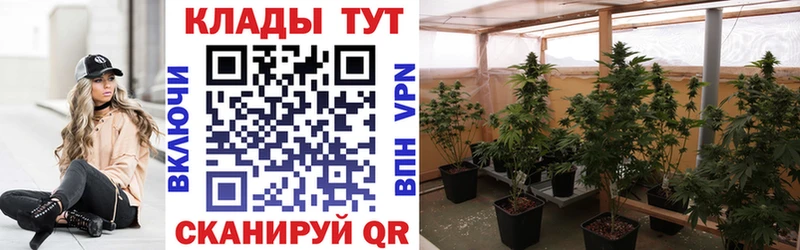 Магазины продажи наркотиков Магадан АМФ  Меф  Гашиш  Бутират  A-PVP  Псилоцибиновые грибы 