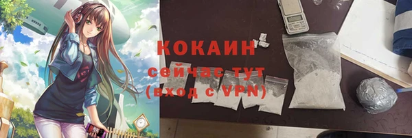 стафф Архангельск