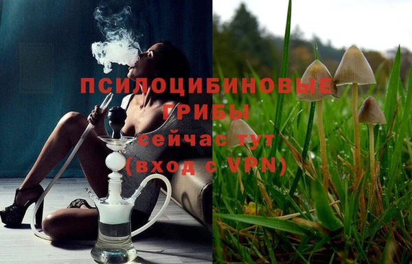 прущий лед Елизово