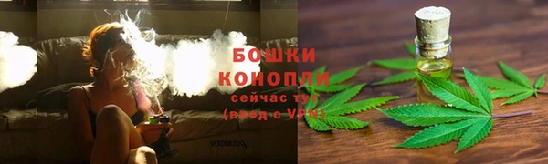 шишки Иннополис