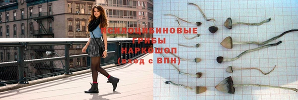 стафф Архангельск