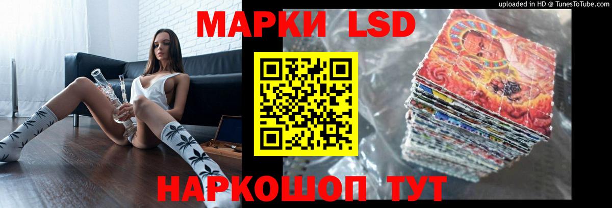 mega ссылка  ЛСД экстази кислота  Вход с VPN  Магадан 