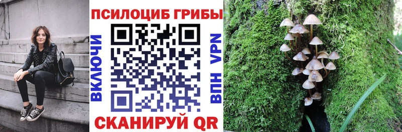 shop какой сайт  Магадан  Галлюциногенные грибы прущие грибы  что такое  