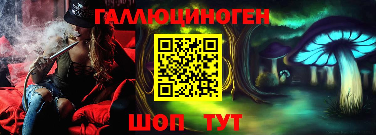 Псилоцибиновые грибы GOLDEN TEACHER  Галлюциногенные грибы MAGIC MUSHROOMS  Вход с VPN  Магадан 